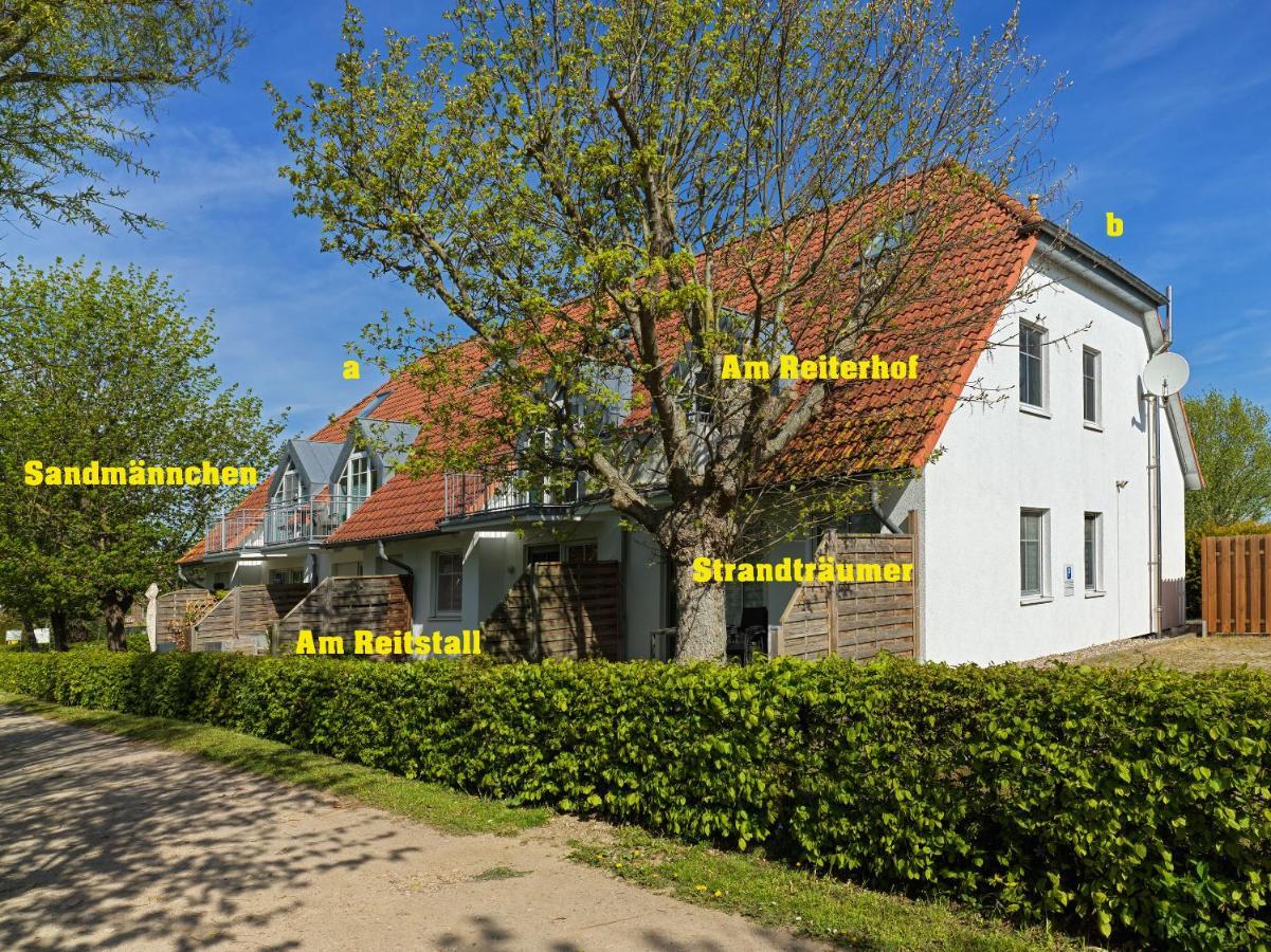 Appartements Am Reiterhof Am Reitstall Poel Exterior foto